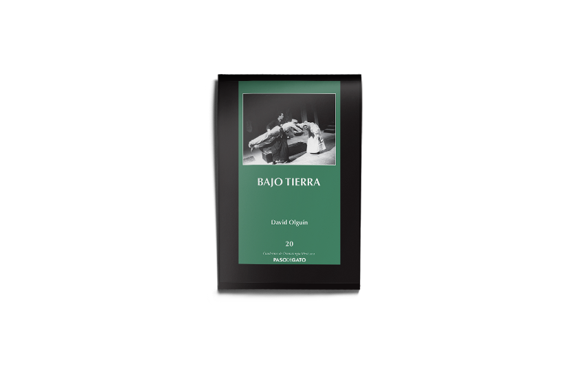 Bajo tierra - David Olguín